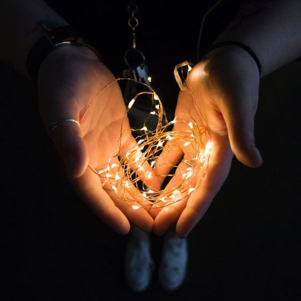 Fairy Lights - Warm - Add Ons - Tumbleweed Plants - Online Plant Delivery Singapore