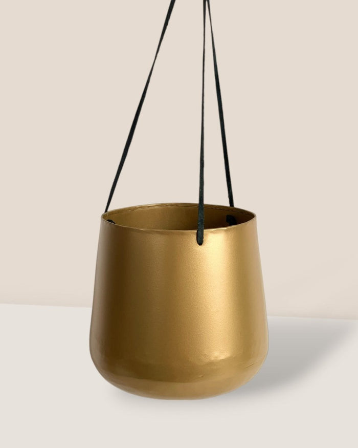 Golden Hanging Pot - Pot - Tumbleweed Plants - Online Plant Delivery Singapore