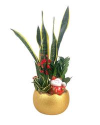 Good Fortune Cat Decor (Only Available As An Add-On Only) - red - Add Ons - Tumbleweed Plants - Online Plant Delivery Singapore