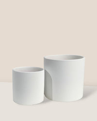Ivory Essence Ceramic Pot - Small - Pot - Tumbleweed Plants - Online Plant Delivery Singapore
