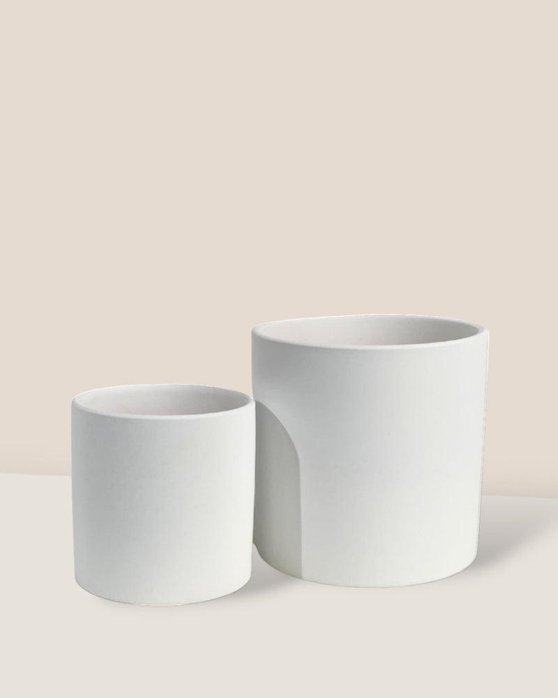 Ivory Essence Ceramic Pot - Small - Pot - Tumbleweed Plants - Online Plant Delivery Singapore