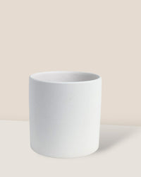 Ivory Essence Ceramic Pot - Small - Pot - Tumbleweed Plants - Online Plant Delivery Singapore