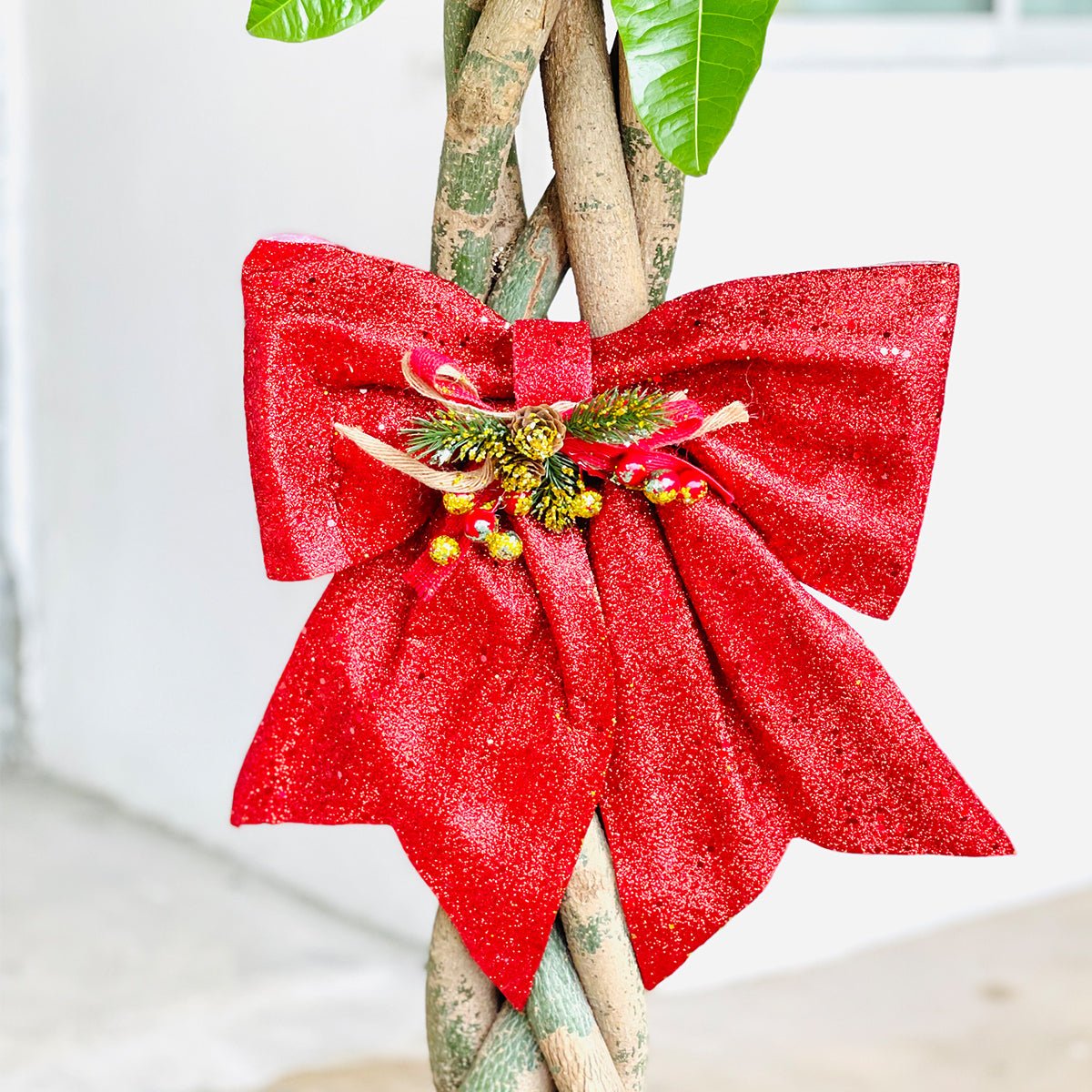 Jumbo Jolly Red Bow - Add Ons - Tumbleweed Plants - Online Plant Delivery Singapore