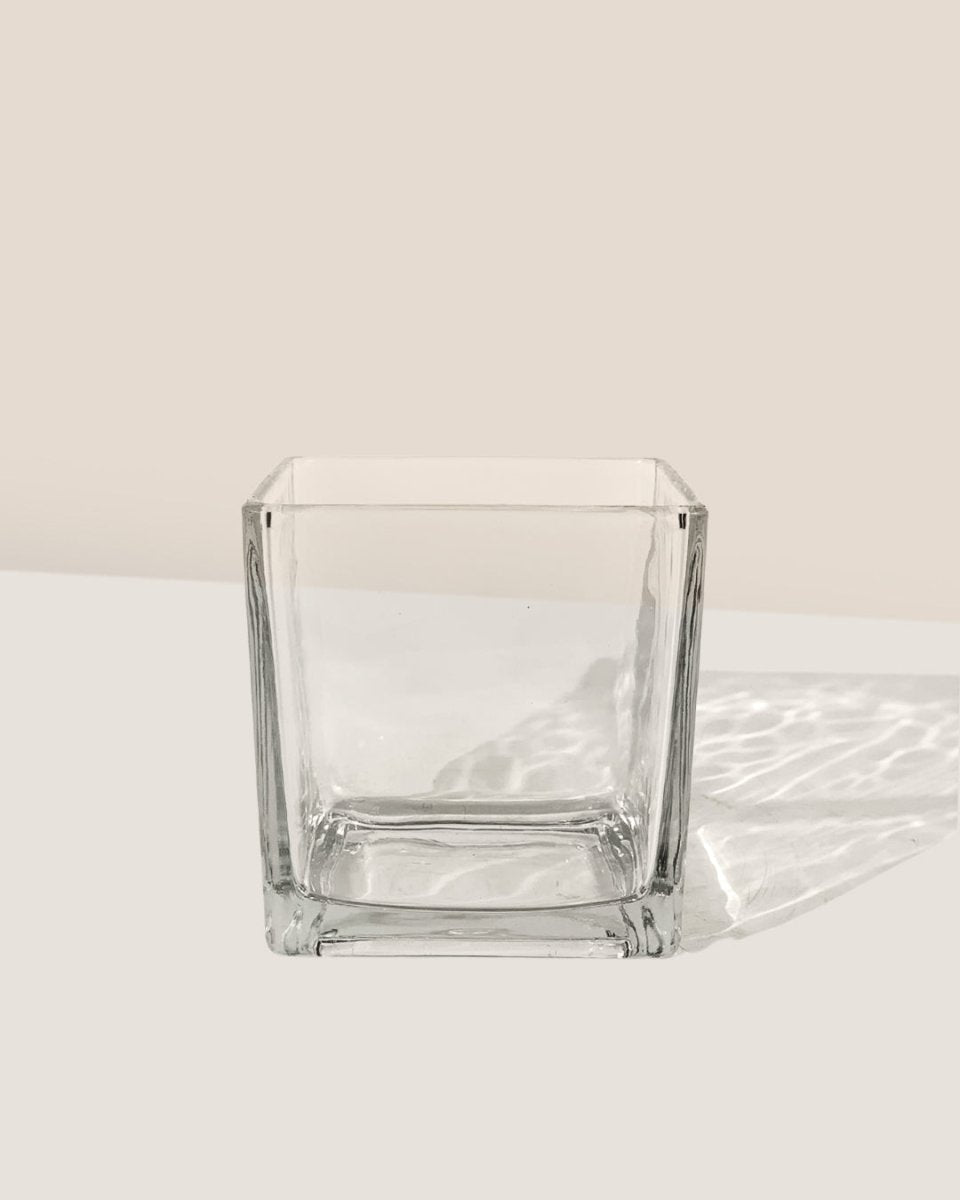 Krystal Glass Cube Planter (Hydro Friendly) - small - Pot - Tumbleweed Plants - Online Plant Delivery Singapore