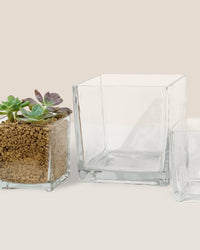 Krystal Glass Cube Planter (Hydro Friendly) - small - Pot - Tumbleweed Plants - Online Plant Delivery Singapore