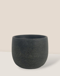 Little Bauble Planter - Quartz Black - Pot - Tumbleweed Plants - Online Plant Delivery Singapore