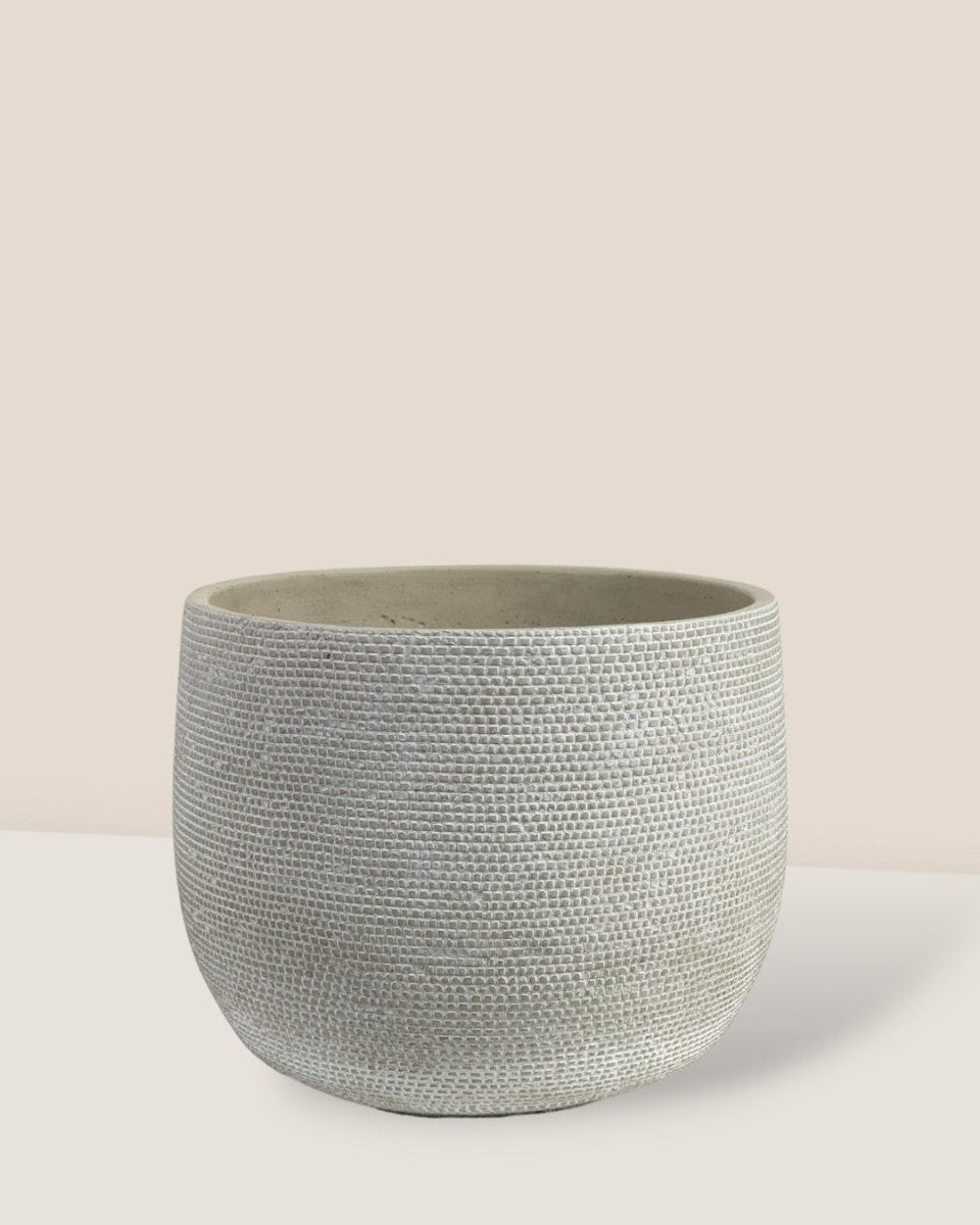 Little Bauble Planter - Pearl White - Pot - Tumbleweed Plants - Online Plant Delivery Singapore
