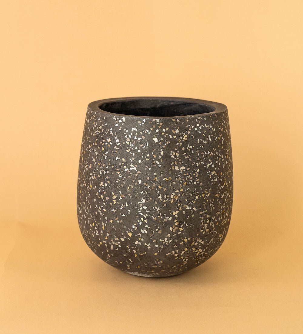 Little Tulip Pots - black