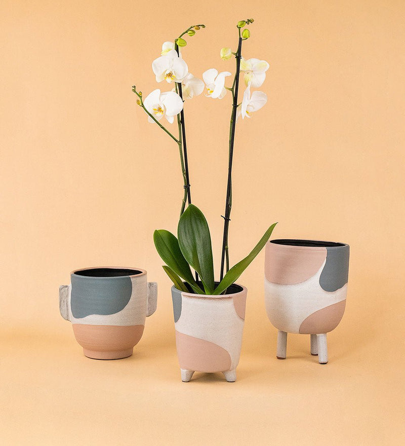 Marluz Planters - small - Pot - Tumbleweed Plants - Online Plant Delivery Singapore