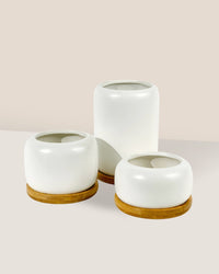 Matte White Cement Pot with Wooden Tray - Short - small - Pot - Tumbleweed Plants - Online Plant Delivery Singapore