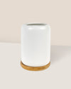 Matte White Cement Pot with Wooden Tray - Tall - Pot - Tumbleweed Plants - Online Plant Delivery Singapore