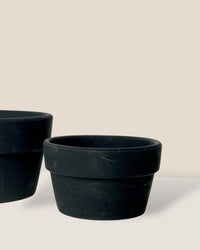 Midnight Black Pot - Small - Pot - Tumbleweed Plants - Online Plant Delivery Singapore