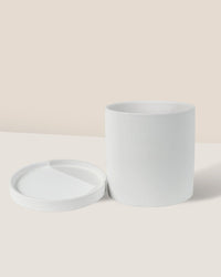 Nordic White Cylinder Planter - Pot - Tumbleweed Plants - Online Plant Delivery Singapore
