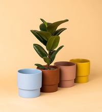 Plinth Pots - pink