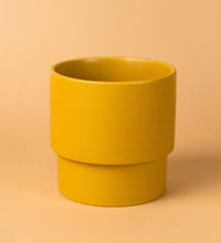 Plinth Pots - mustard