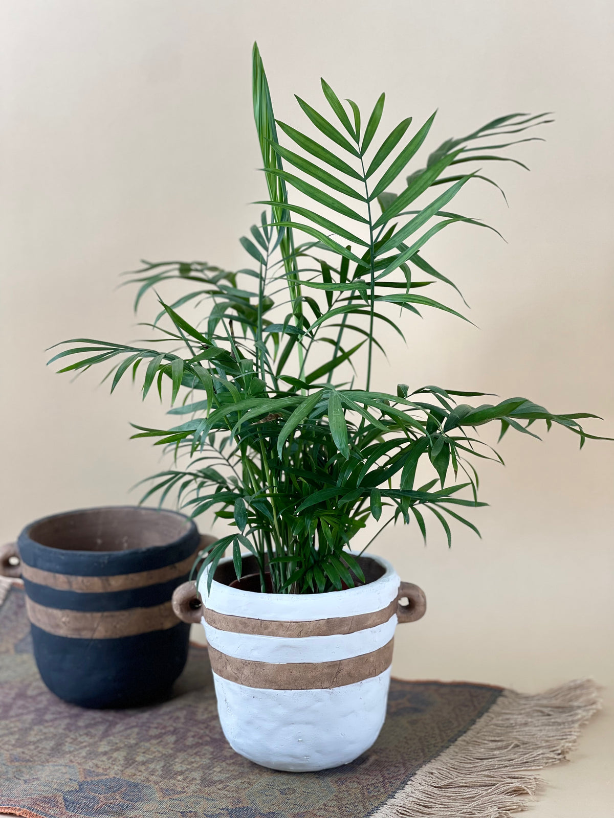 Portafino Planter