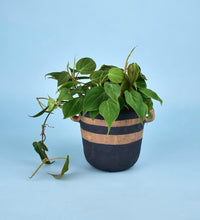 Portafino Planter - black - Pot