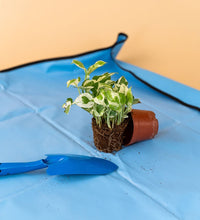 Potting Mats - pink - Potting mat - Tumbleweed Plants - Online Plant Delivery Singapore