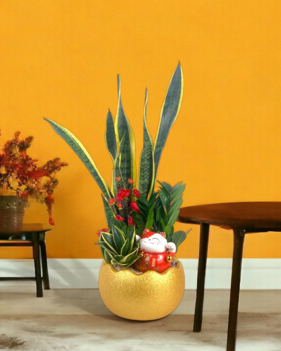 Prosperity Plant Arrangement in Golden Egg Pot (Large) - Gifting plant - Tumbleweed Plants - Online Plant Delivery Singapore