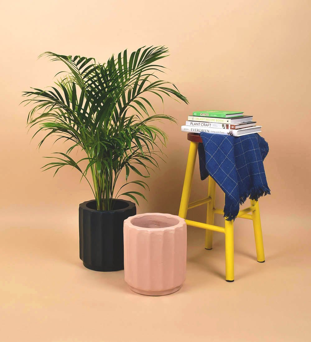 Roman Planters