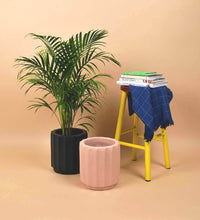 Roman Planters
