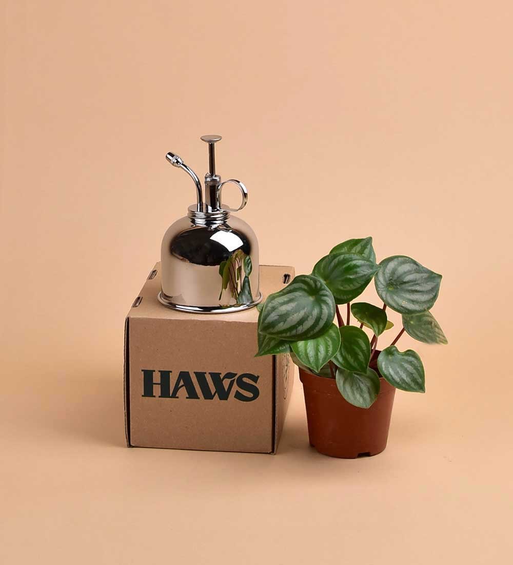 Haws Misters - nickel