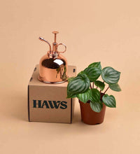 Haws Misters - copper