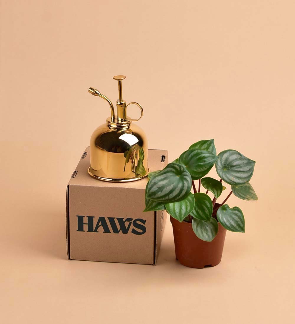 Haws Misters - brass