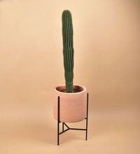 Sedona Stand
