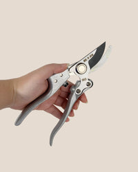 Stem Cutters - Silver Shears - Tool - Tumbleweed Plants - Online Plant Delivery Singapore