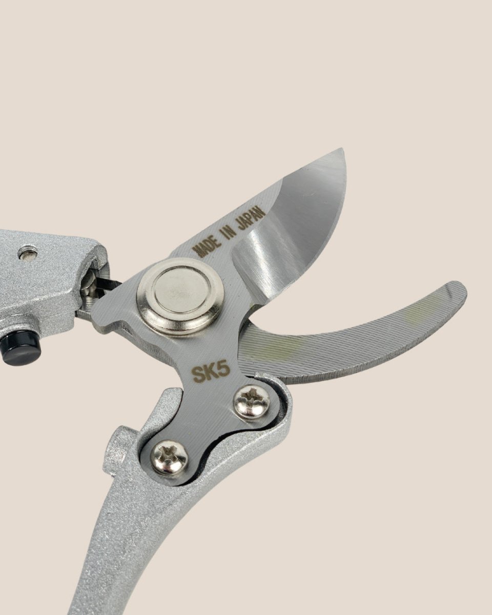 Stem Cutters - Silver Shears - Tool - Tumbleweed Plants - Online Plant Delivery Singapore
