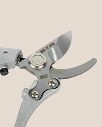 Stem Cutters - Silver Shears - Tool - Tumbleweed Plants - Online Plant Delivery Singapore