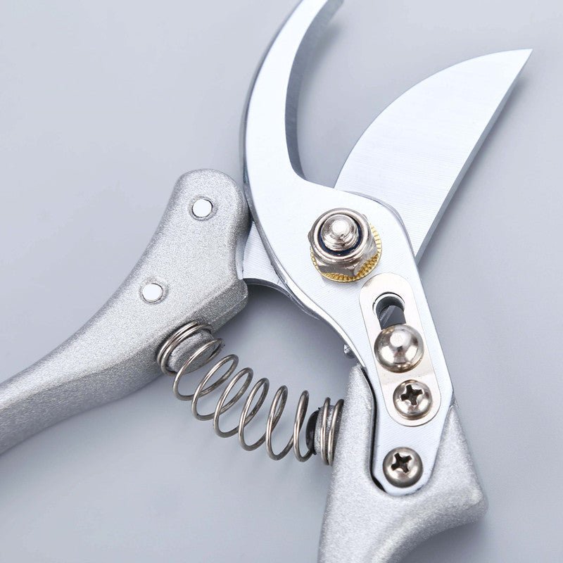Stem Cutters - Silver Shears - Tool - Tumbleweed Plants - Online Plant Delivery Singapore