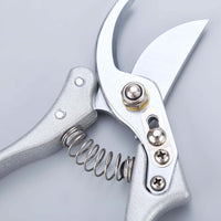 Stem Cutters - Silver Shears - Tool - Tumbleweed Plants - Online Plant Delivery Singapore