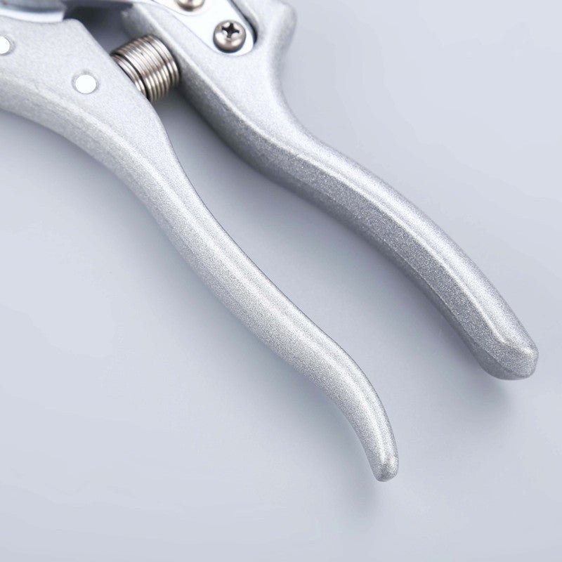 Stem Cutters - Silver Shears - Tool - Tumbleweed Plants - Online Plant Delivery Singapore