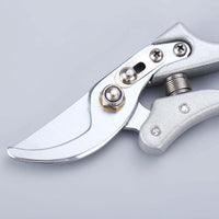 Stem Cutters - Silver Shears - Tool - Tumbleweed Plants - Online Plant Delivery Singapore