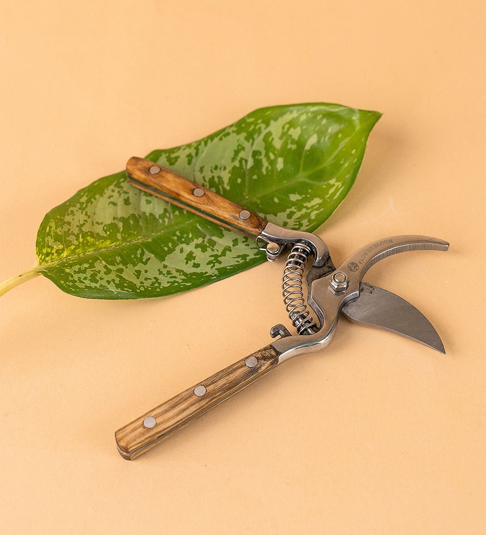 Stem Cutters