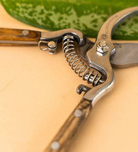 Stem Cutters