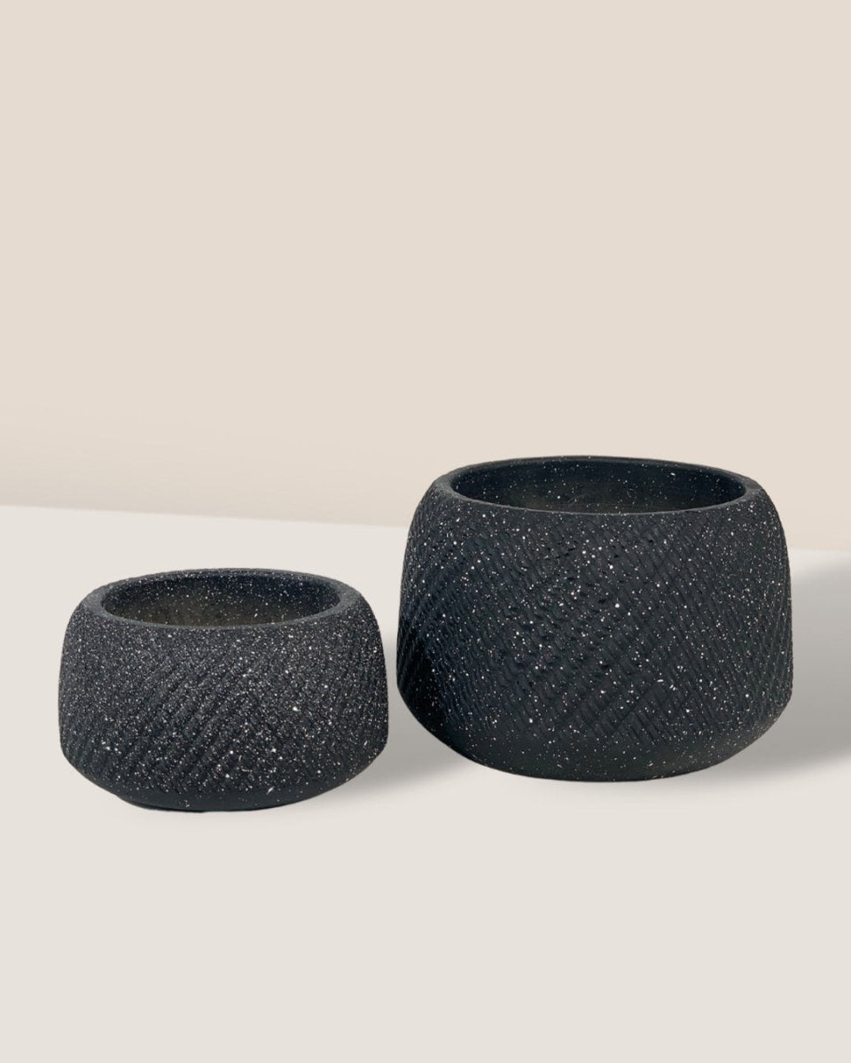 Vanga Ceramic Planter - black - Pots - Tumbleweed Plants - Online Plant Delivery Singapore