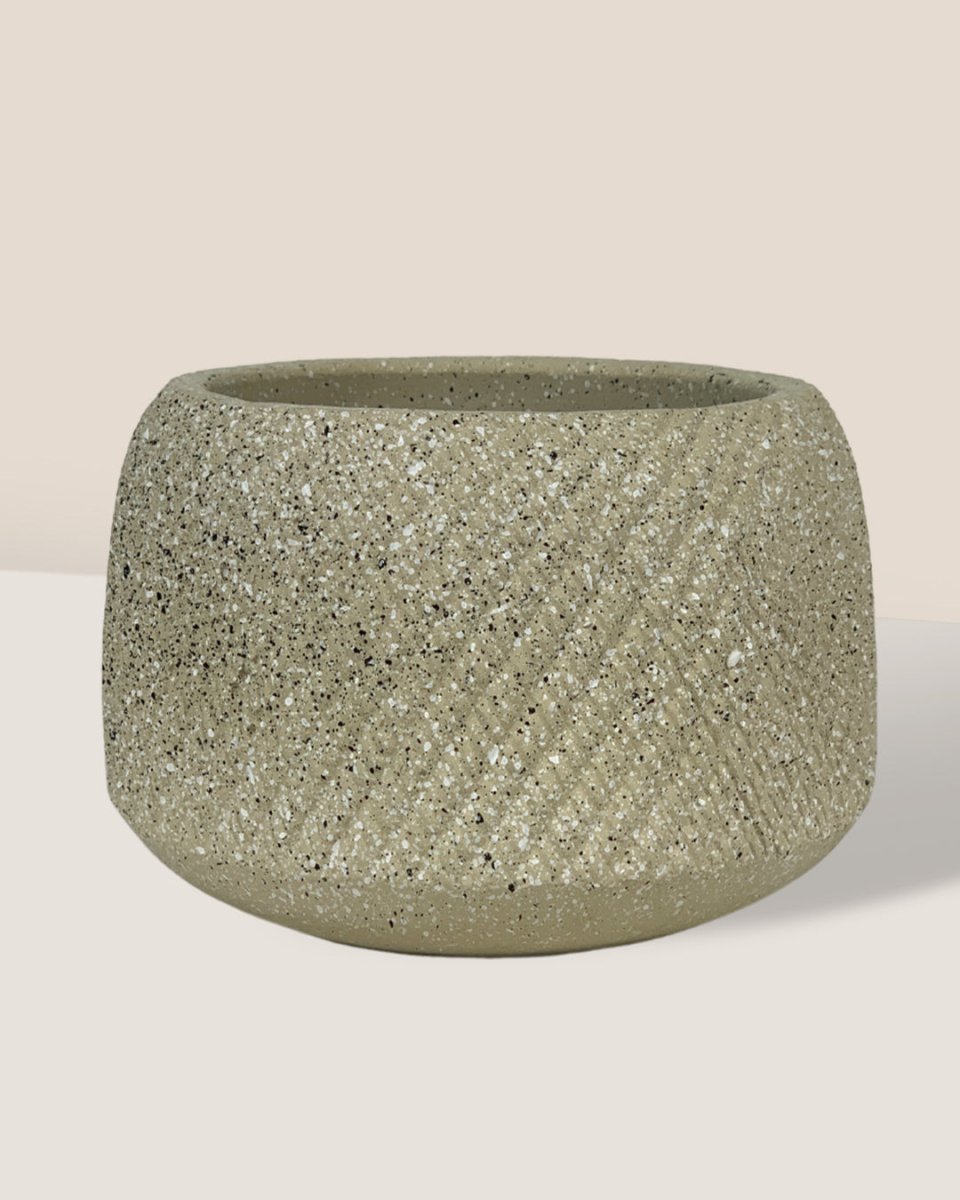 Vanga Ceramic Planter - sand - Pots - Tumbleweed Plants - Online Plant Delivery Singapore