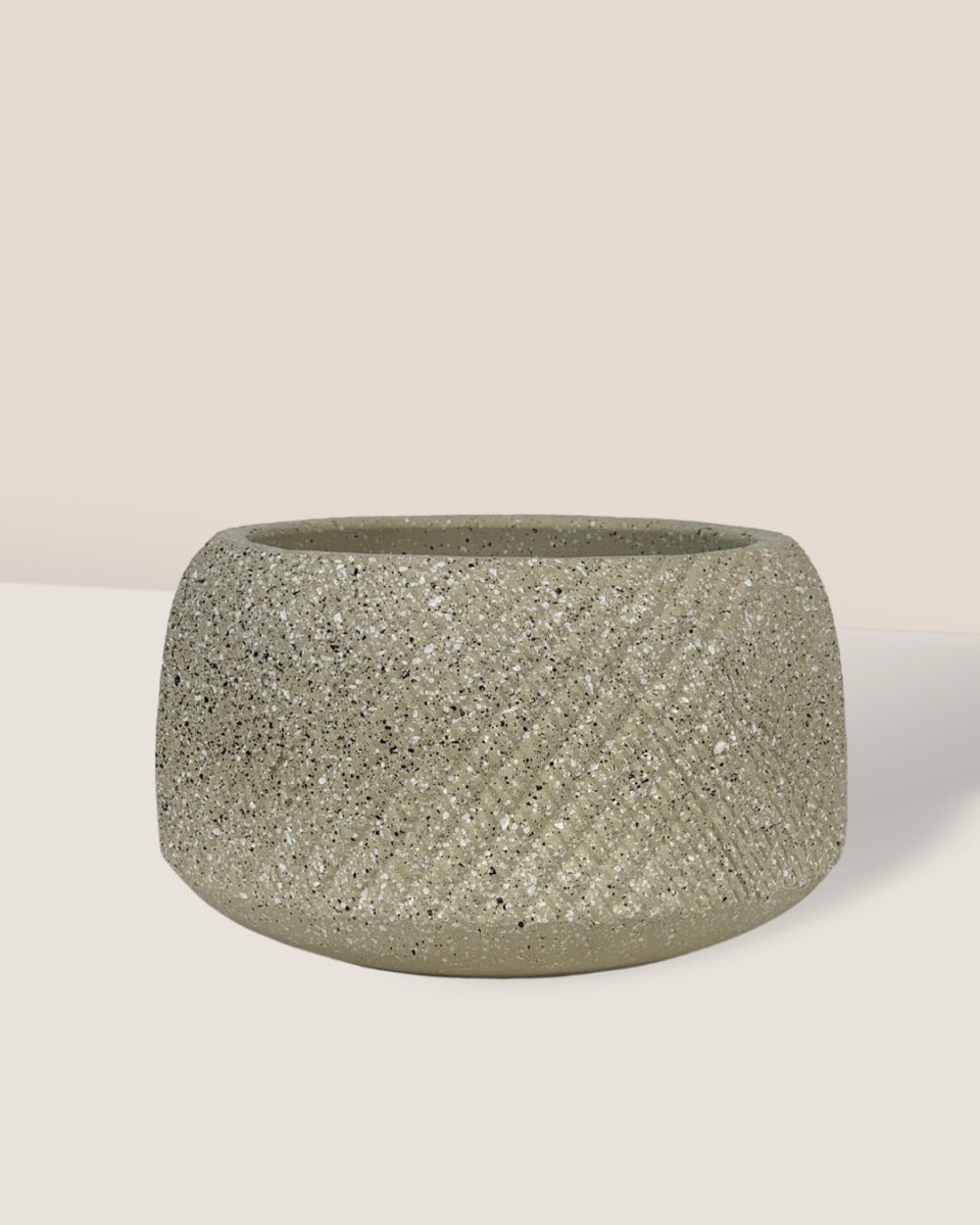 Vanga Ceramic Planter - sand - Pots - Tumbleweed Plants - Online Plant Delivery Singapore