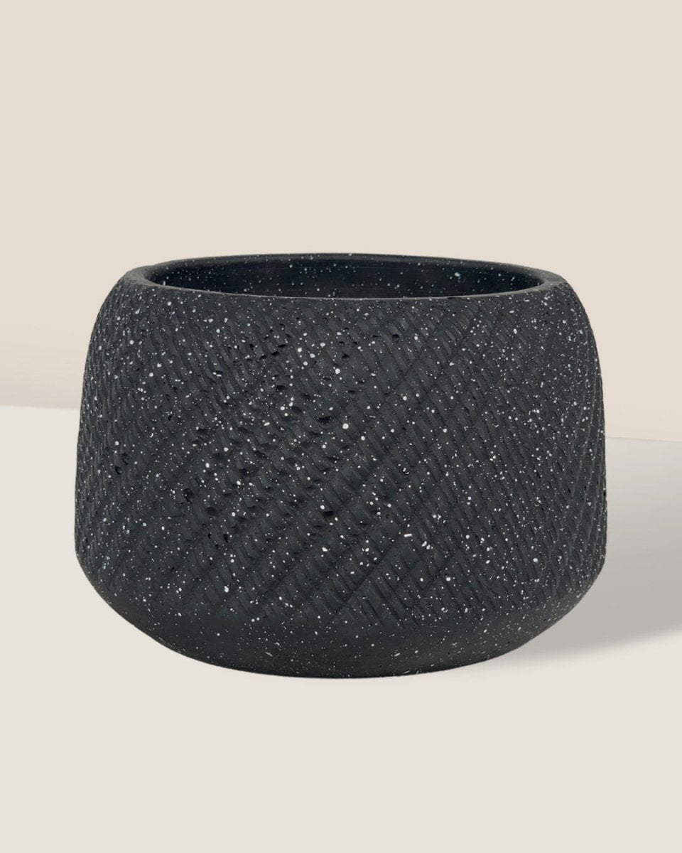 Vanga Ceramic Planter - black - Pots - Tumbleweed Plants - Online Plant Delivery Singapore