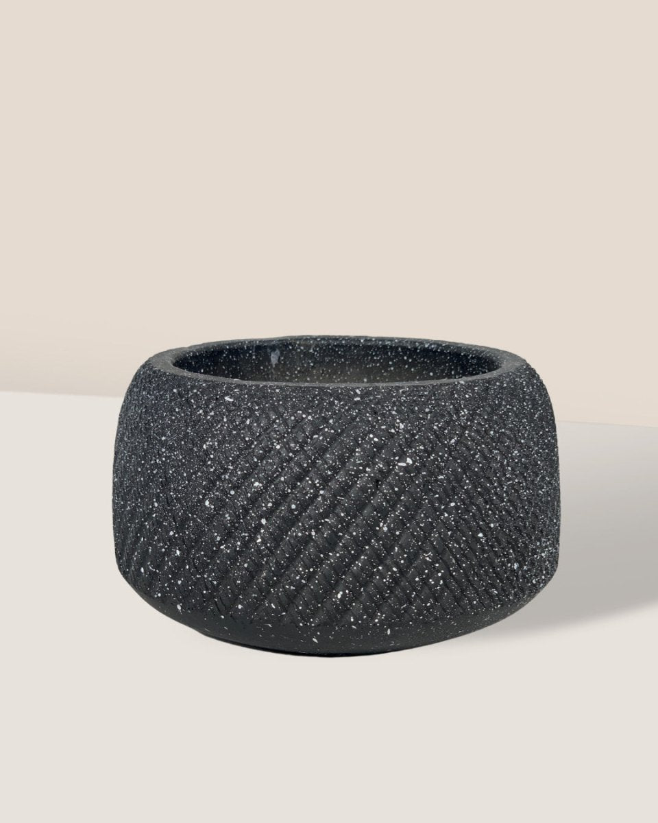 Vanga Ceramic Planter - black - Pots - Tumbleweed Plants - Online Plant Delivery Singapore