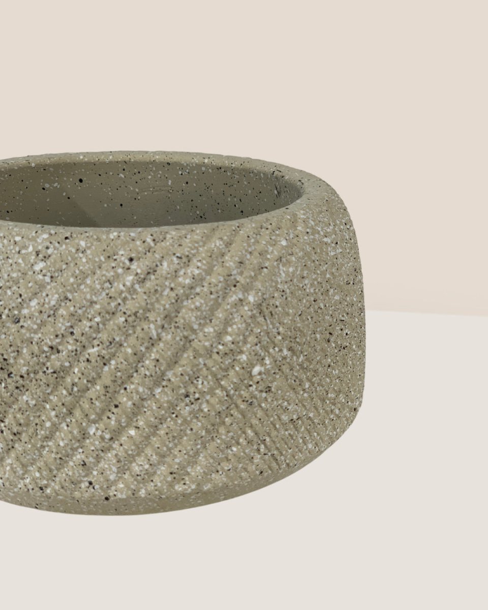 Vanga Ceramic Planter - black - Pots - Tumbleweed Plants - Online Plant Delivery Singapore