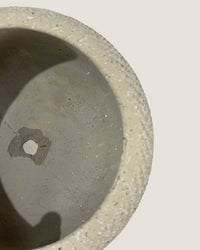 Vanga Ceramic Planter - black - Pots - Tumbleweed Plants - Online Plant Delivery Singapore