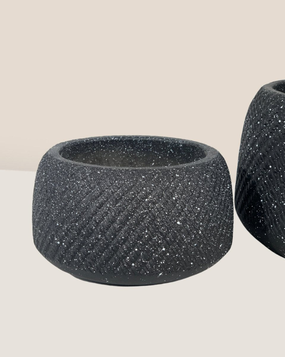 Vanga Ceramic Planter - black - Pots - Tumbleweed Plants - Online Plant Delivery Singapore