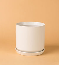 White Cylinder Pot