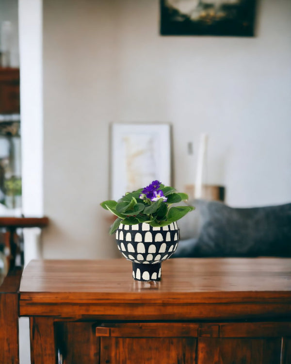 African Violet - allure planter - Potted plant - Tumbleweed Plants - Online Plant Delivery Singapore