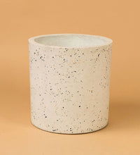 Areca Palm - birthday bash: large white terrazzo cylinder planter - Potted plant - Tumbleweed Plants - Online Plant Delivery Singapore