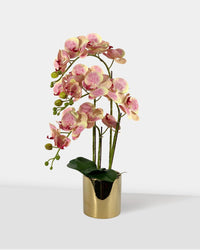 Artificial Crown Phalaenopsis - coral - Gifting plant - Tumbleweed Plants - Online Plant Delivery Singapore